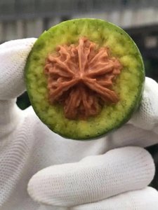 “10 块钱青皮核桃”引发文玩圈震荡，乱象背后真相大揭秘！