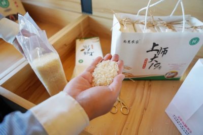 ​种“金”得金！金山这个镇未来将打造...